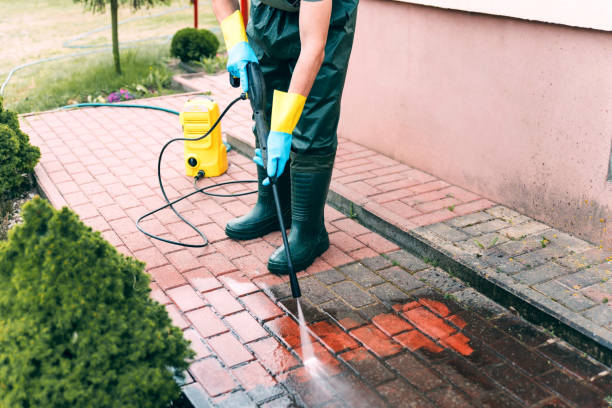 Best Dumpster Area Cleaning  in Collings Lakes, NJ