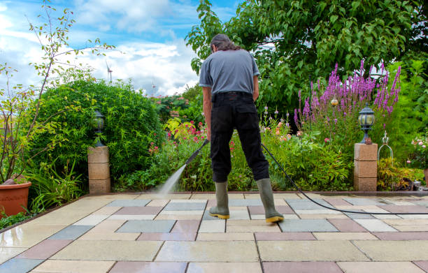Best Fence Cleaning  in Collings Lakes, NJ