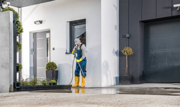 Best Sidewalk and Walkway Cleaning  in Collings Lakes, NJ